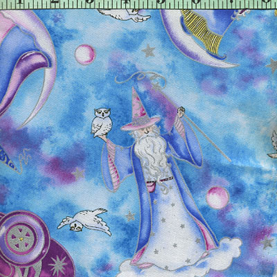 Wizards and Owls in Blue and Purple Sky
