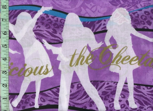 Cheetah Girls Popstar Stripes